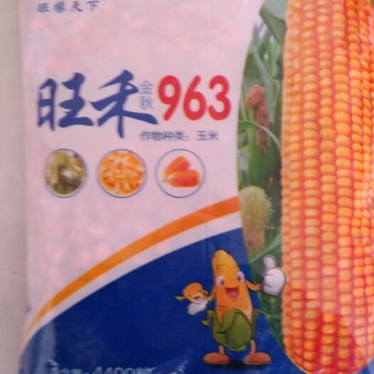 威县玉米种子 旺禾963，抗倒伏，抗茎腐病，抗大小斑病，高抗感瘤黑粉病。