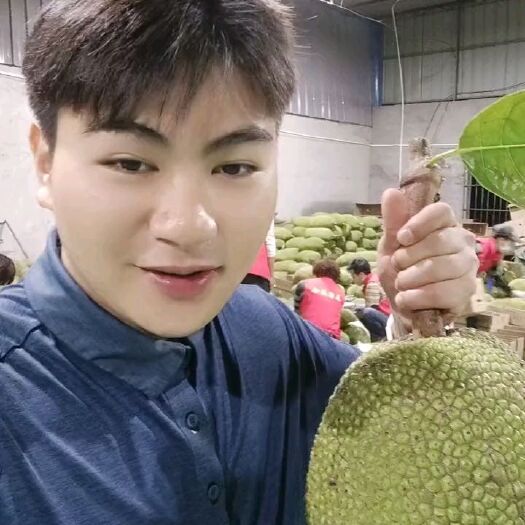 海口 海南阿凯菠萝蜜批发部