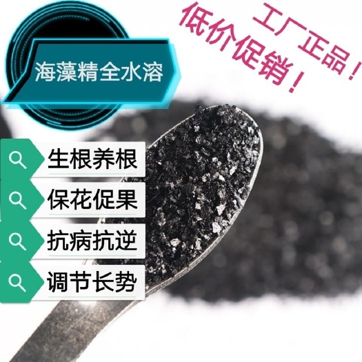 济南海藻肥 现货热销高含量农用有机肥海藻精 速溶可冲施滴灌叶面肥海藻精