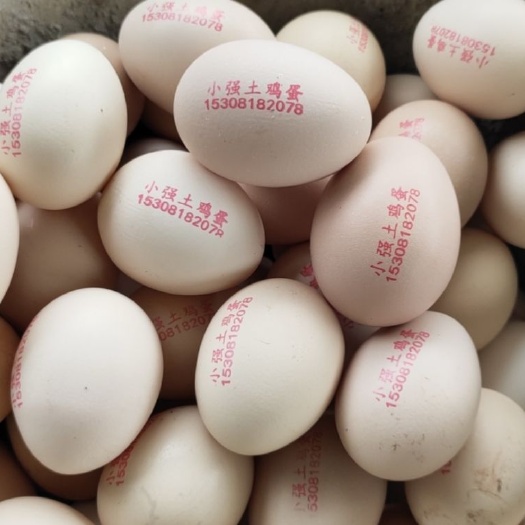 南部县土鸡蛋  纯粮食喂养土鸡