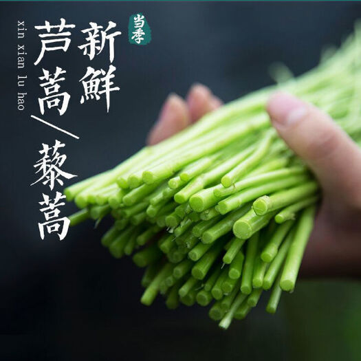 沭阳县新鲜芦蒿泥蒿藜蒿去根带叶当季嫩篱蒿黎蒿蔬菜农家现摘现发