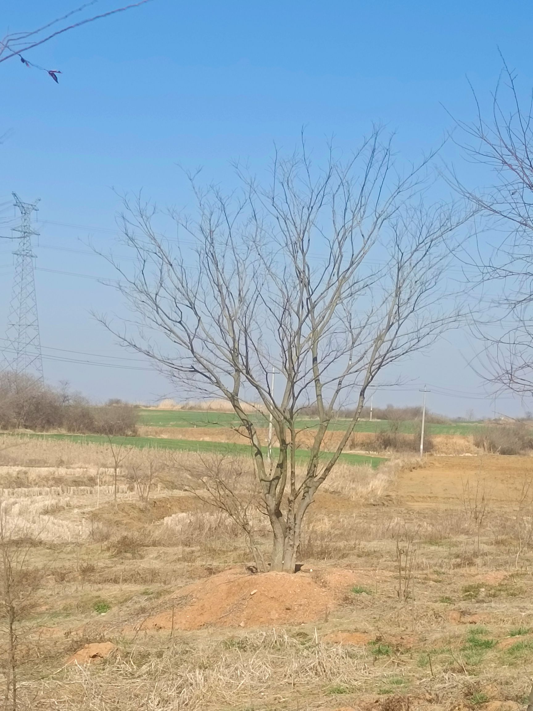 大量大旱地对外出租