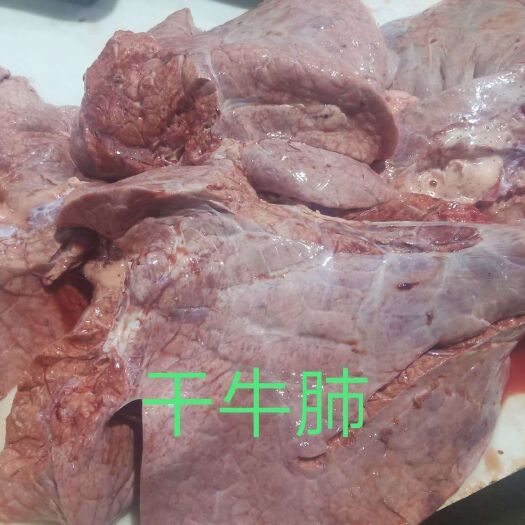 牛副产品 牛肺