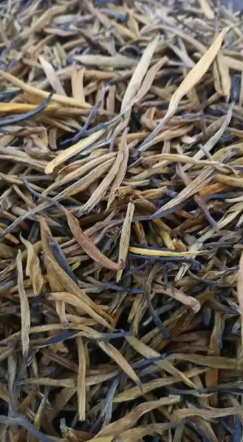 黄茶 滇红茶