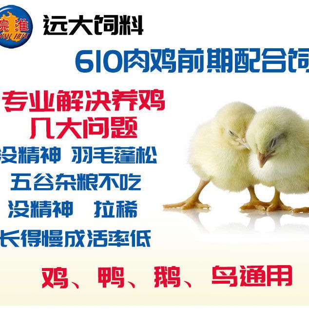 配合饲料  皖淮雏鸡饲料颗粒破碎土鹌鹑小鸡饲料钓鱼打窝散装包