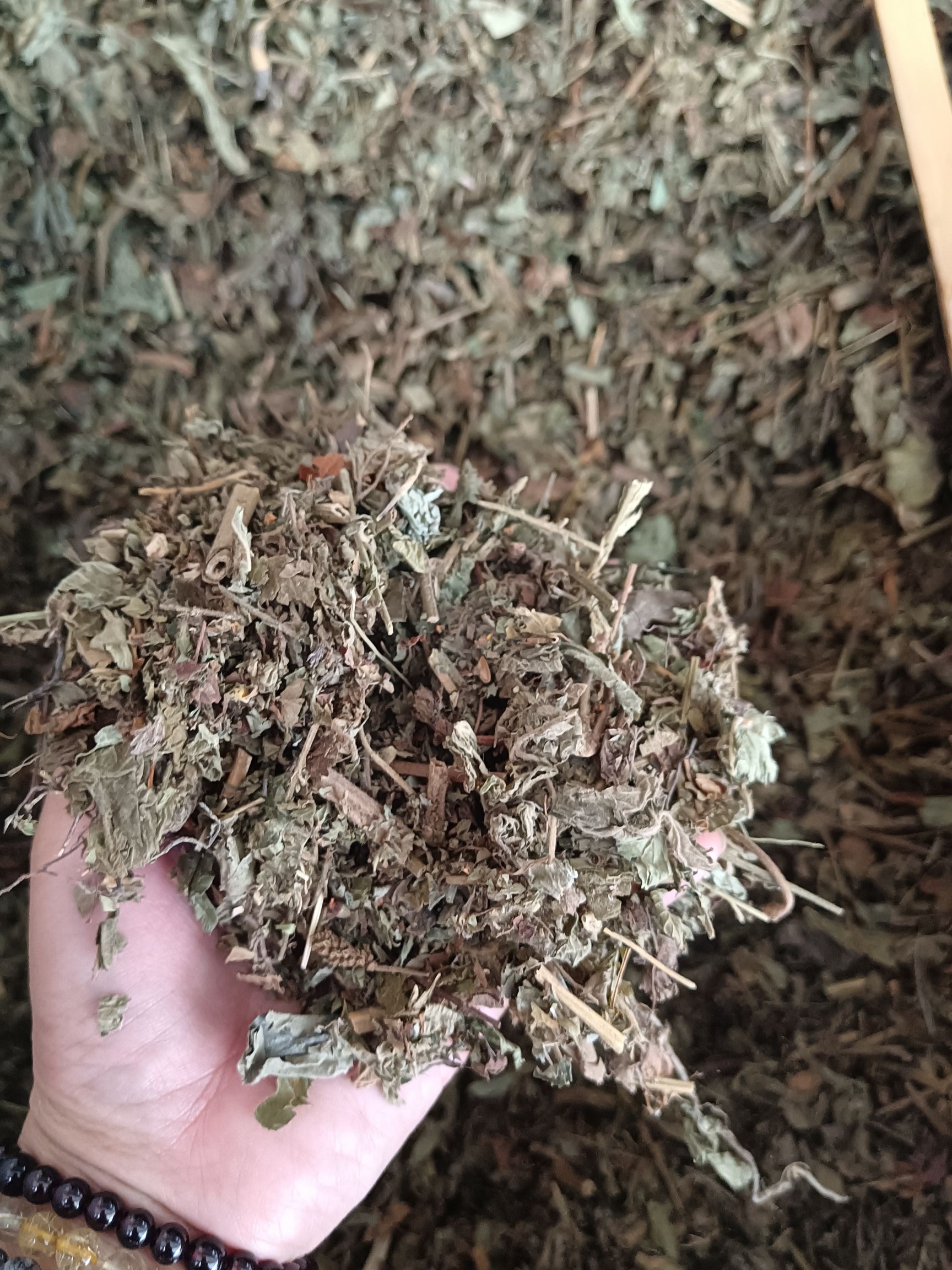 中草药干货仙鹤草别名龙芽草脱力草量大从优