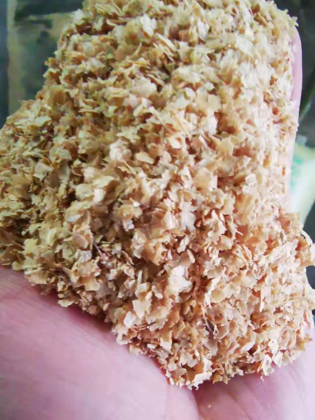  小麦麸皮  大片麸皮  价格美丽