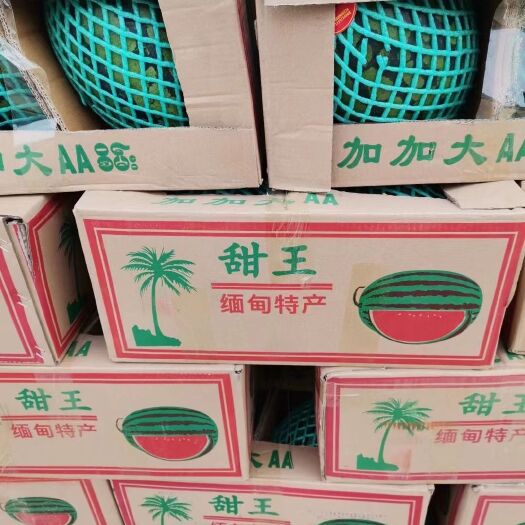昌宁县云南宝山甜王西瓜一直都受到广大客户高度认可，代发代收全国