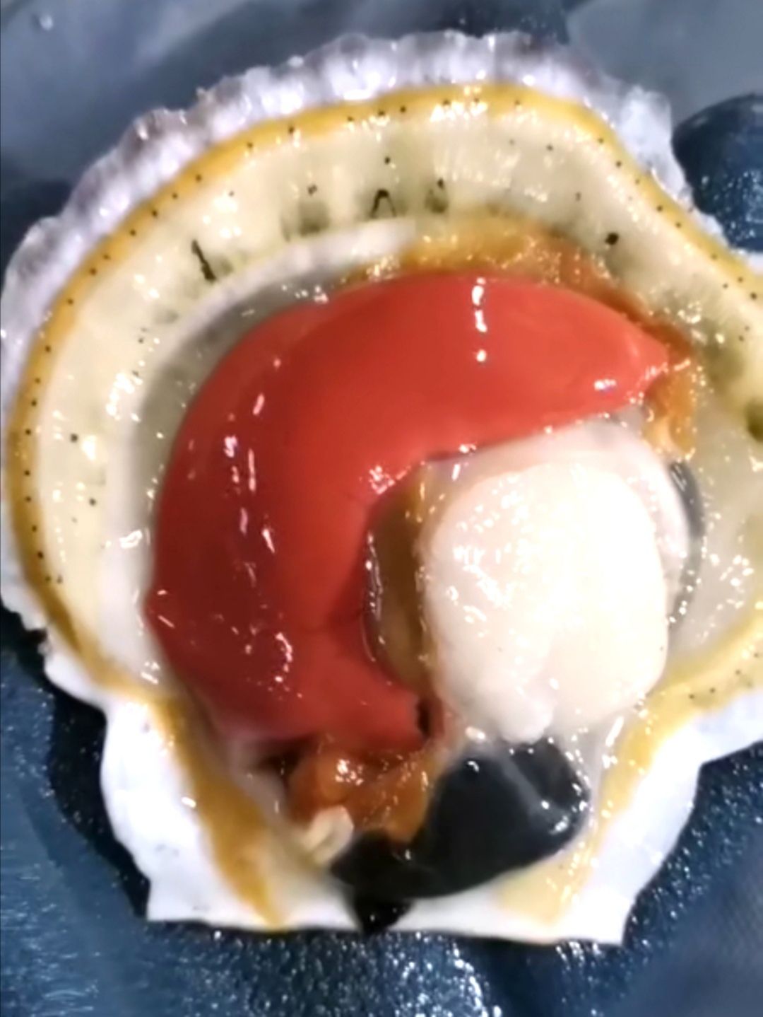 虾夷扇贝   夏夷贝 夏怡贝 底播贝 吊笼贝