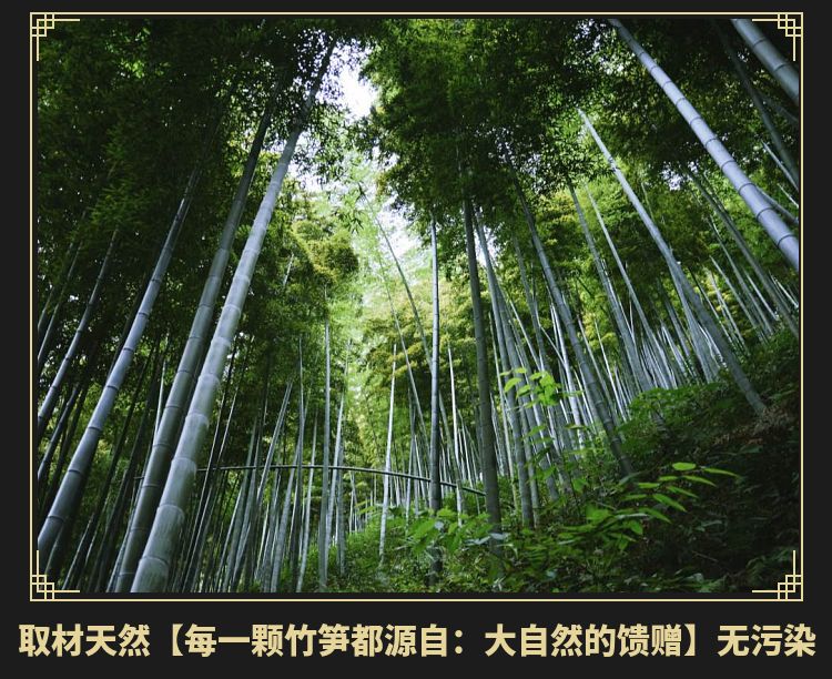 5斤免切小竹笋新鲜野生嫩笋尖江西农家特产春笋包邮