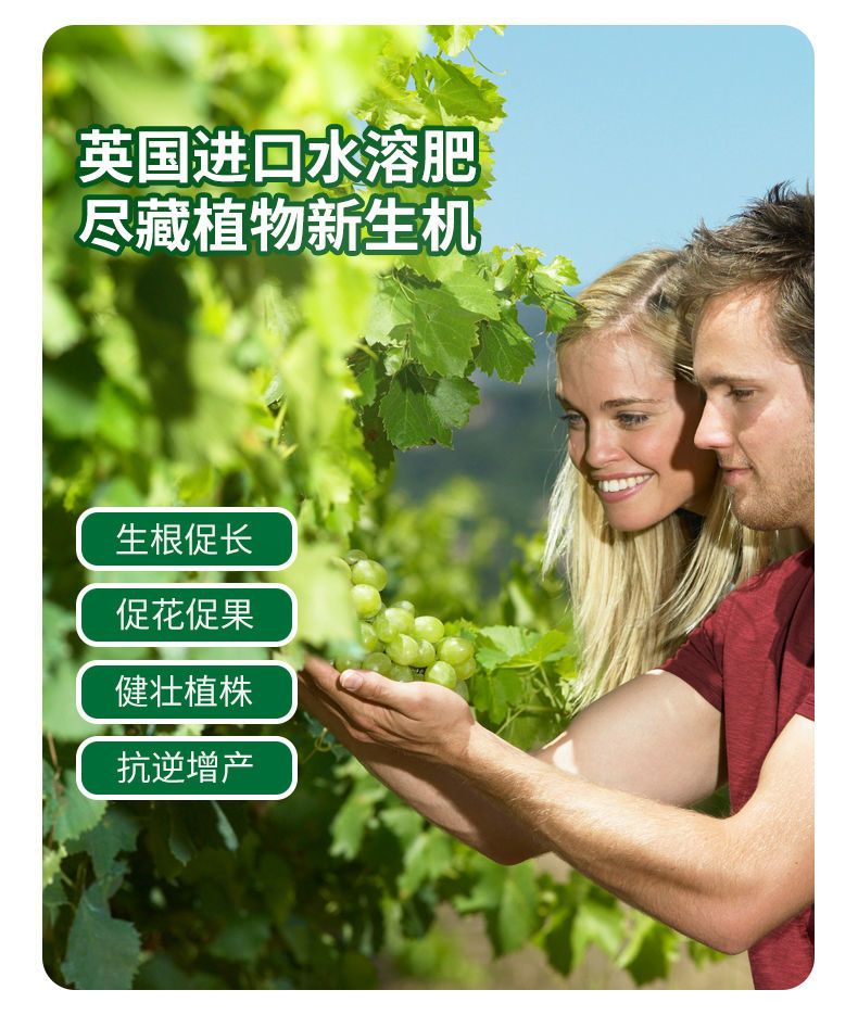 大量元素肥料  平衡型 通用肥 冲施肥 生根提苗 靓果增甜 增加抗逆性