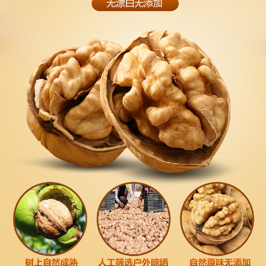 石家庄薄皮核桃 壳薄易剥 口感酥脆 果仁完整