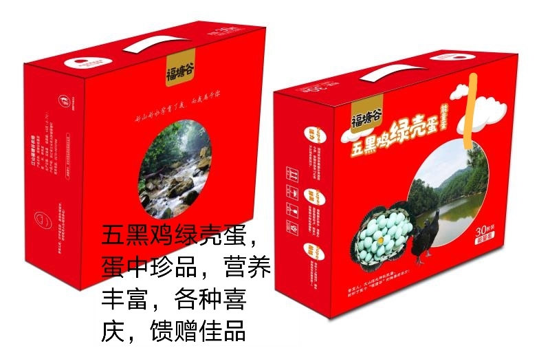 江山市自己家农场山上林间散养五黑鸡，土鸡，生产土鸡蛋，绿壳蛋。