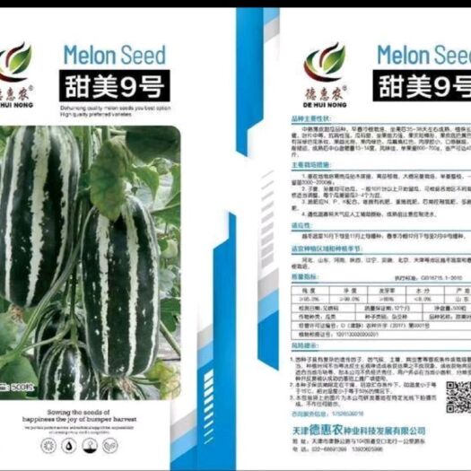 兰考县 博洋甜瓜种子甜美9号甜瓜种子 博洋改良品种超越上一代的品种