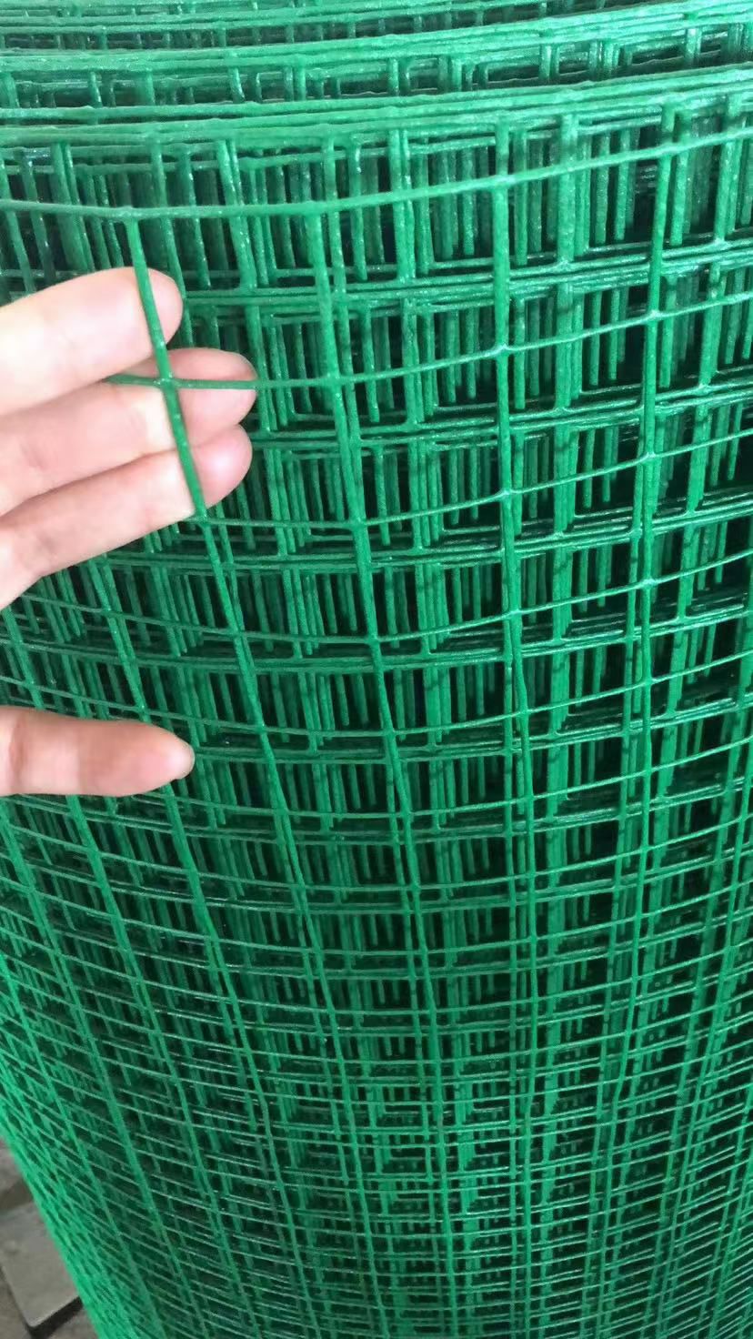 铁丝网荷兰网圈玉米网养鸡养殖网农场鱼塘防护网菜地果园园林防护
