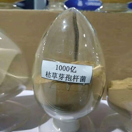 济南 1000亿枯草芽孢杆菌绿色生态有机种植抗病杀菌剂农业种植专用
