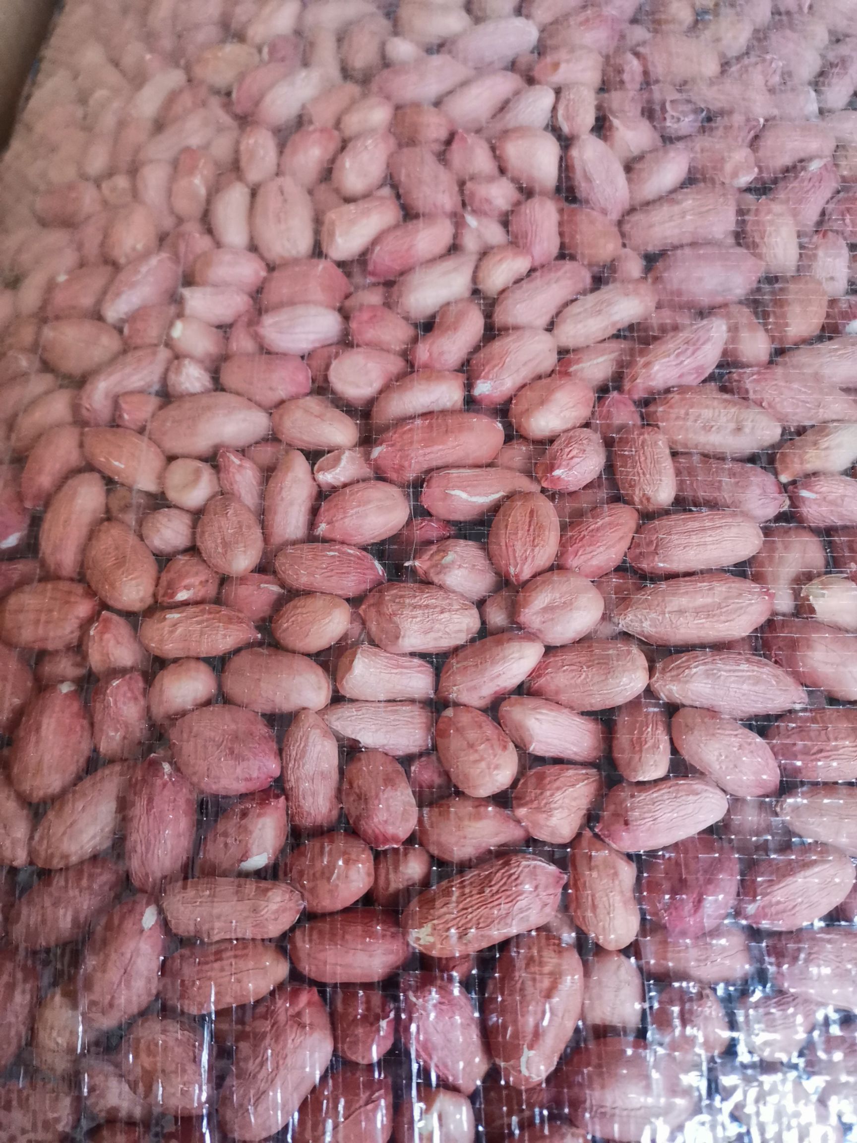 红皮花生 米 家庭装5斤10斤，饭店用花生米