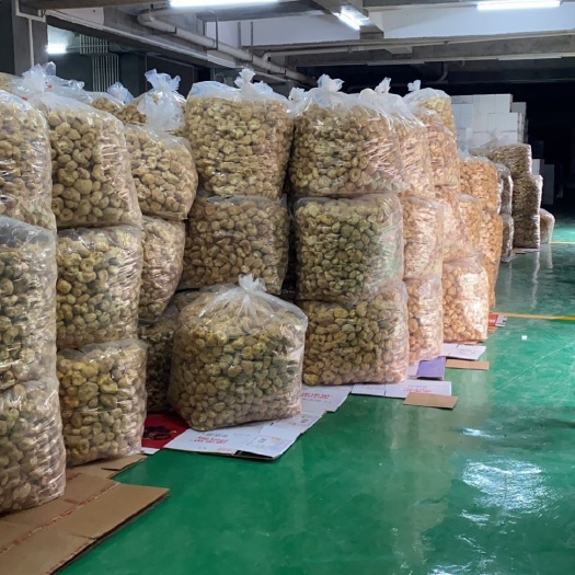 三穗县干猴头菇  猴头菇大量烤干，价格可商议，寻求买主