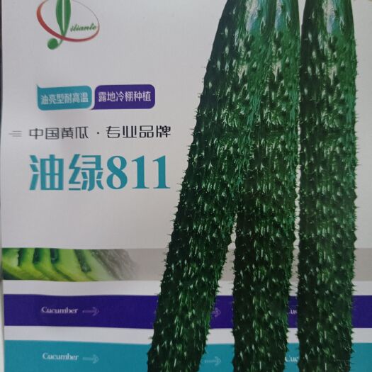 商丘黄瓜种子  油亮型品种，耐高温，产量高，抗病好，露地以及冷棚种植