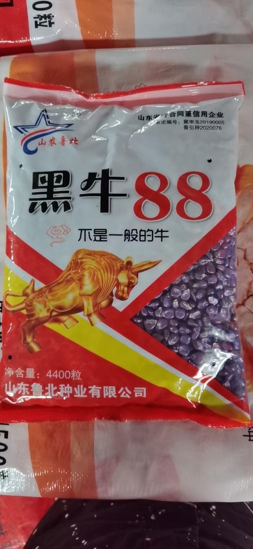 玉米种厂家 黑牛88 高产玉米种子高产青玉米种子 高抗倒伏 45.