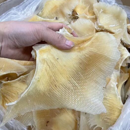 批发浦鱼翅海狗翅海味干货煲汤滋补食材价格不贵味道香浓