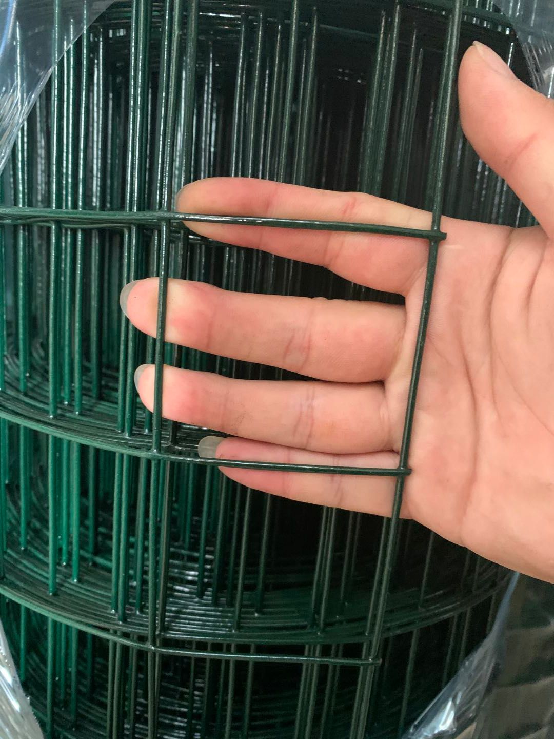铁丝网荷兰网圈玉米网养鸡养殖网农场鱼塘防护网菜地果园园林防护