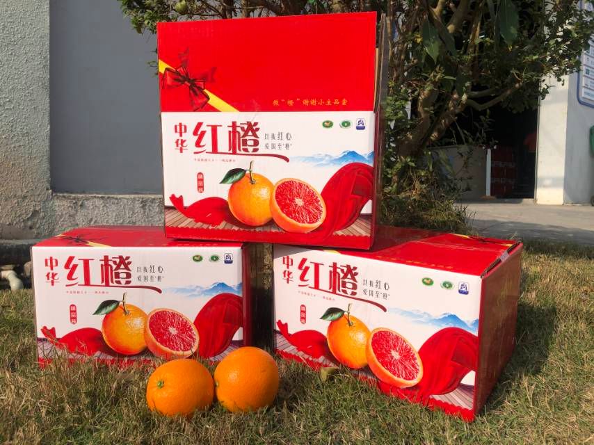 红橙  扶贫秭归橙子中华血橙脐橙一件代发多省包邮箱装