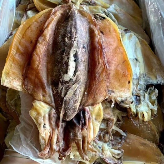 徐闻县 批发墨鱼干海鲜干货水产特产淡晒乌贼