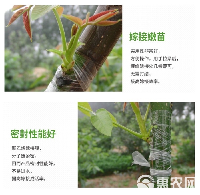 嫁接膜  嫁接专用膜嫁接绑带果树苗木包扎带无需打结自粘性缠绕包装自粘膜