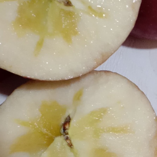 鲁甸县冰糖心苹果苗 