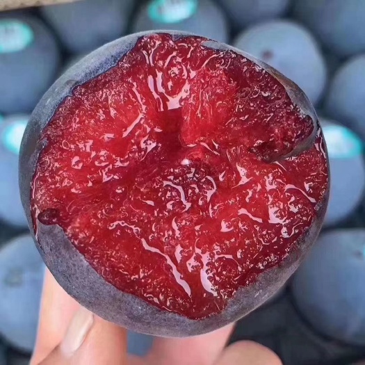 苏州李子  风味玫瑰李，皮薄多汁，果香四溢，肉厚核小