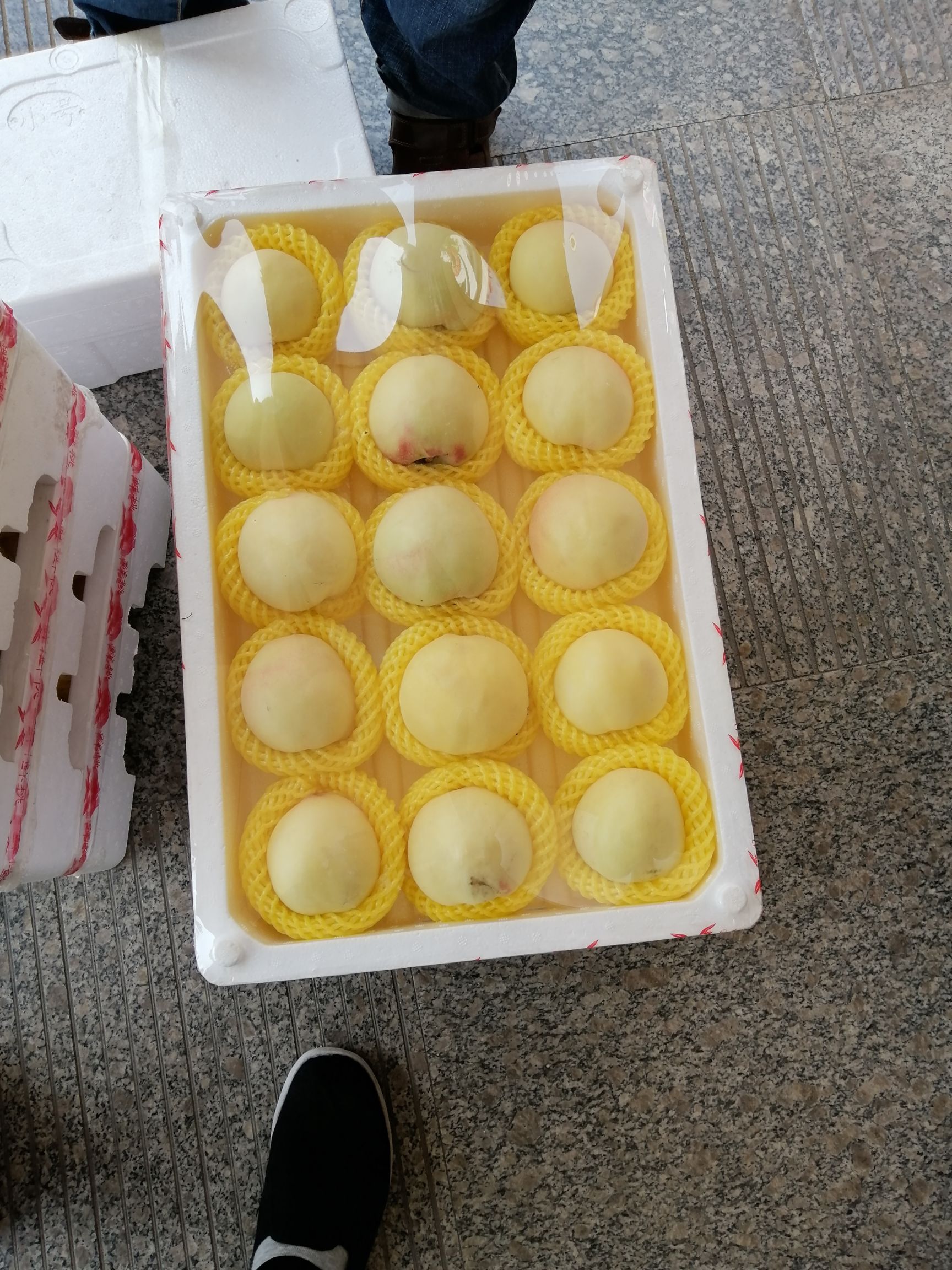 蜜桃 本人乐亭县大棚桃生产基地，3月到6月桃子糖分高，耐运输！欢迎