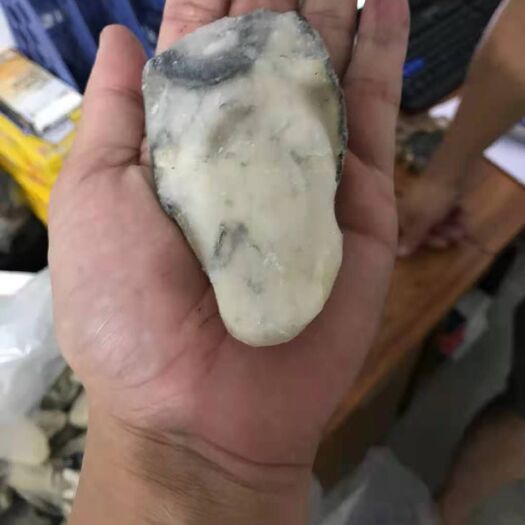 阳江净化蚝 养殖基地直供台山蚝，货源稳定，品质保证。欢迎到场参观。