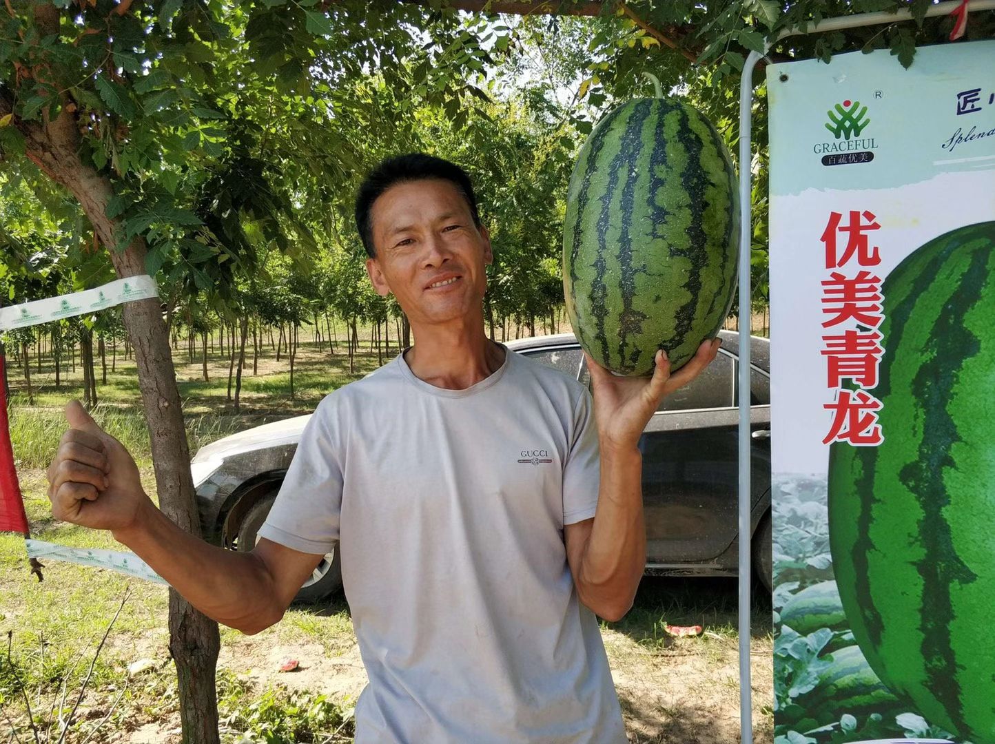 西瓜种子 外观优美，大红瓤，坐瓜稳