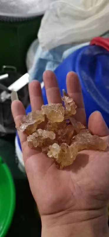 瑞丽市 雪燕