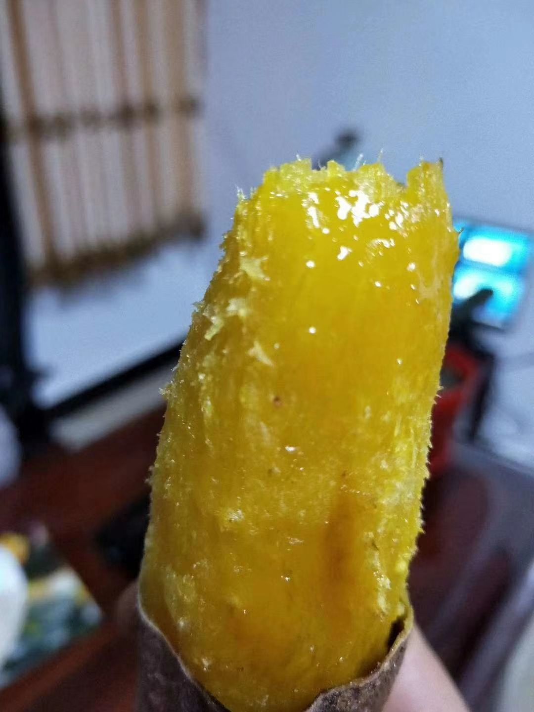 安纳芋红薯苗 多品种脱毒试管苗，驯化苗