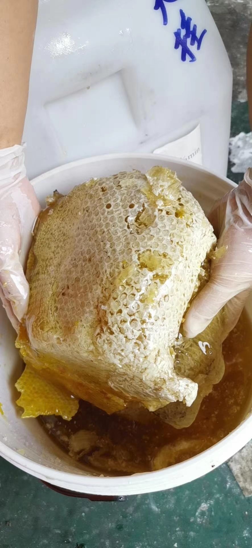 蜂蜜 缅甸大挂蜜