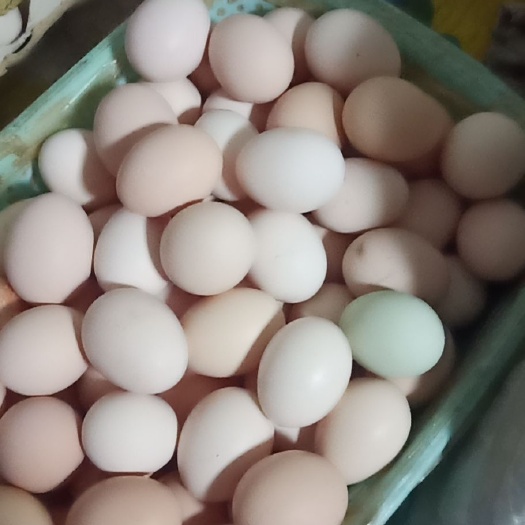 赵县土鸡蛋 食用 散装 