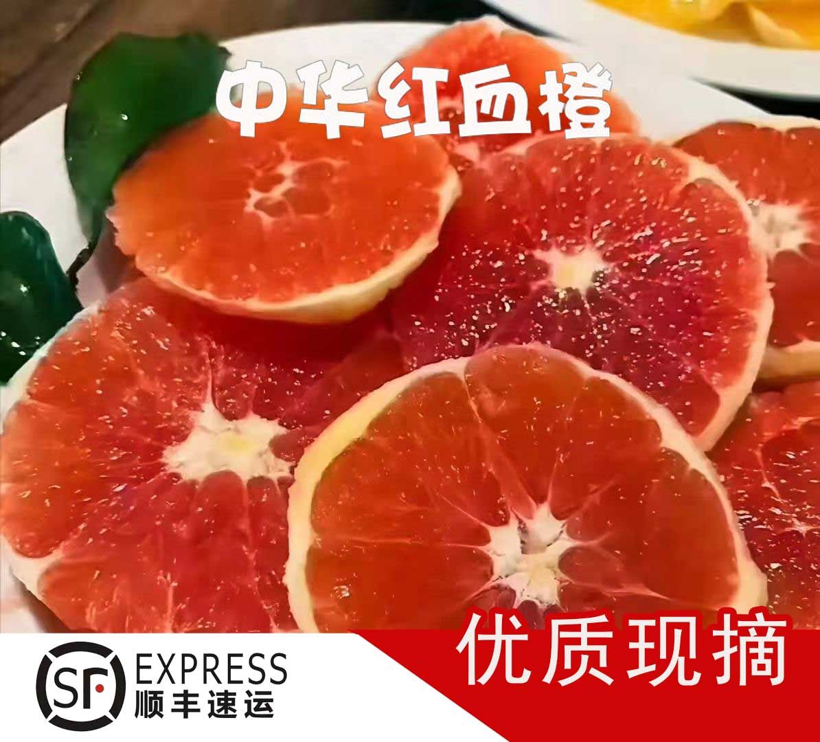 红橙  扶贫秭归橙子中华血橙脐橙一件代发多省包邮箱装