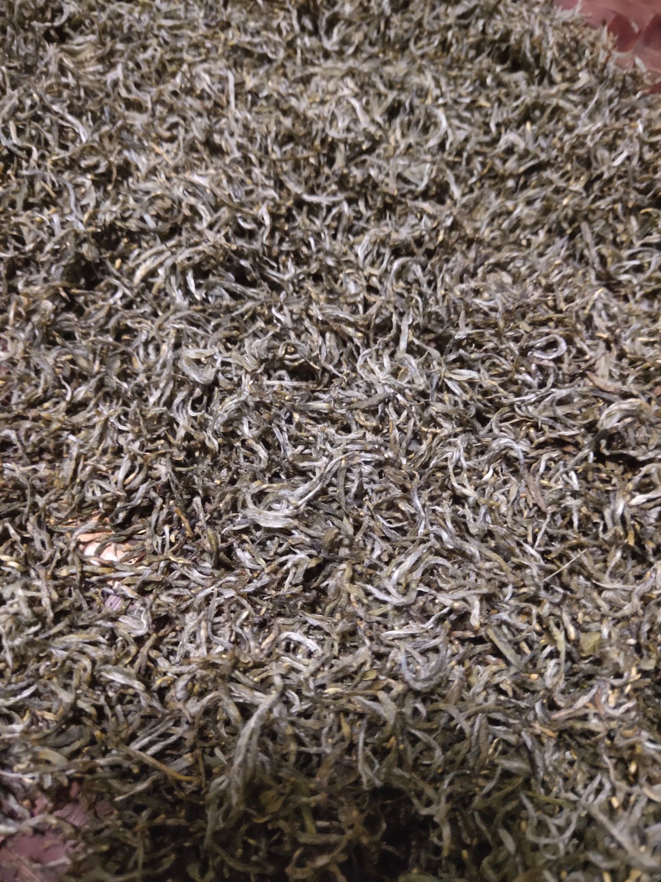 狗牯脑茶 明前手工茶江西绿茶狗牯脑