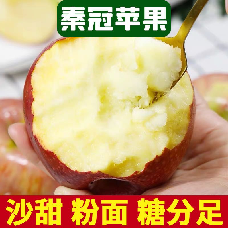 40年老树秦冠苹果5/10斤天然丑水果粉面刮泥辅食非富士