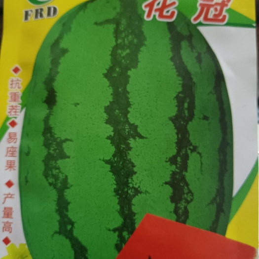 商丘凯旋西瓜种子  耐重茬，易座果，产量高