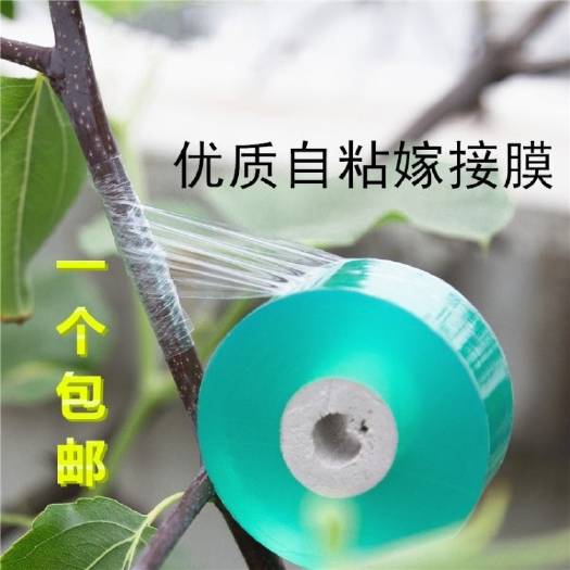 忠县嫁接膜  嫁接专用膜嫁接绑带果树苗木包扎带无需打结自粘性缠绕包装自粘膜