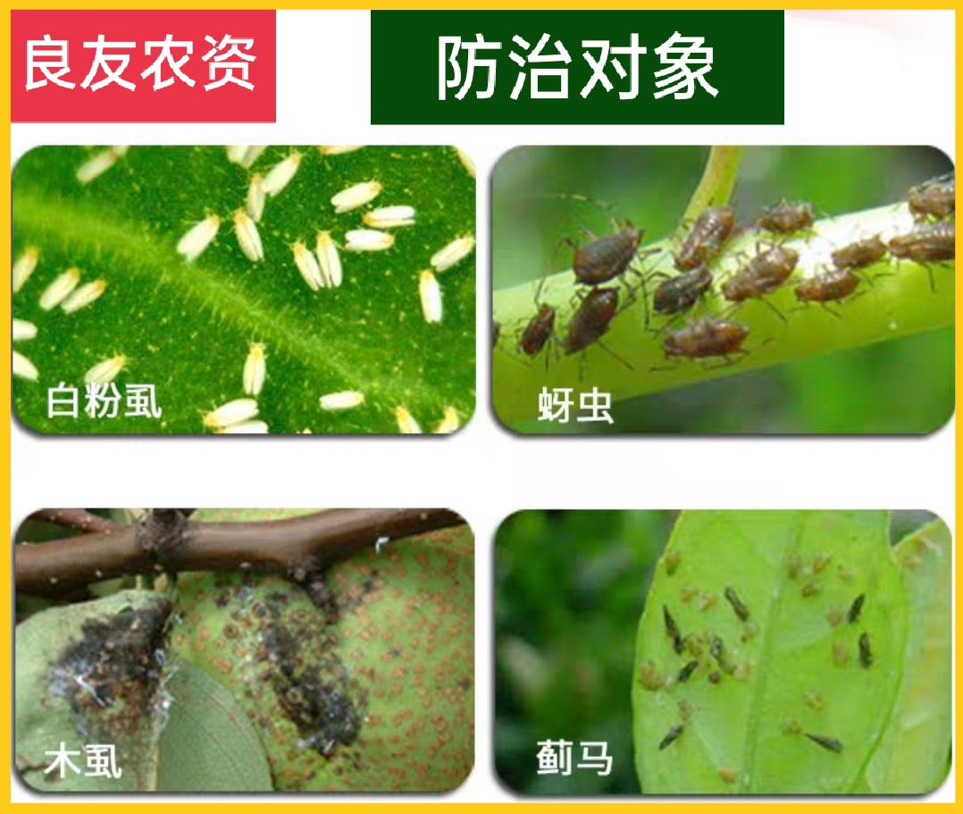 乙基多杀菌素  打抗性蓟马，白粉虱，跳甲防治套餐。