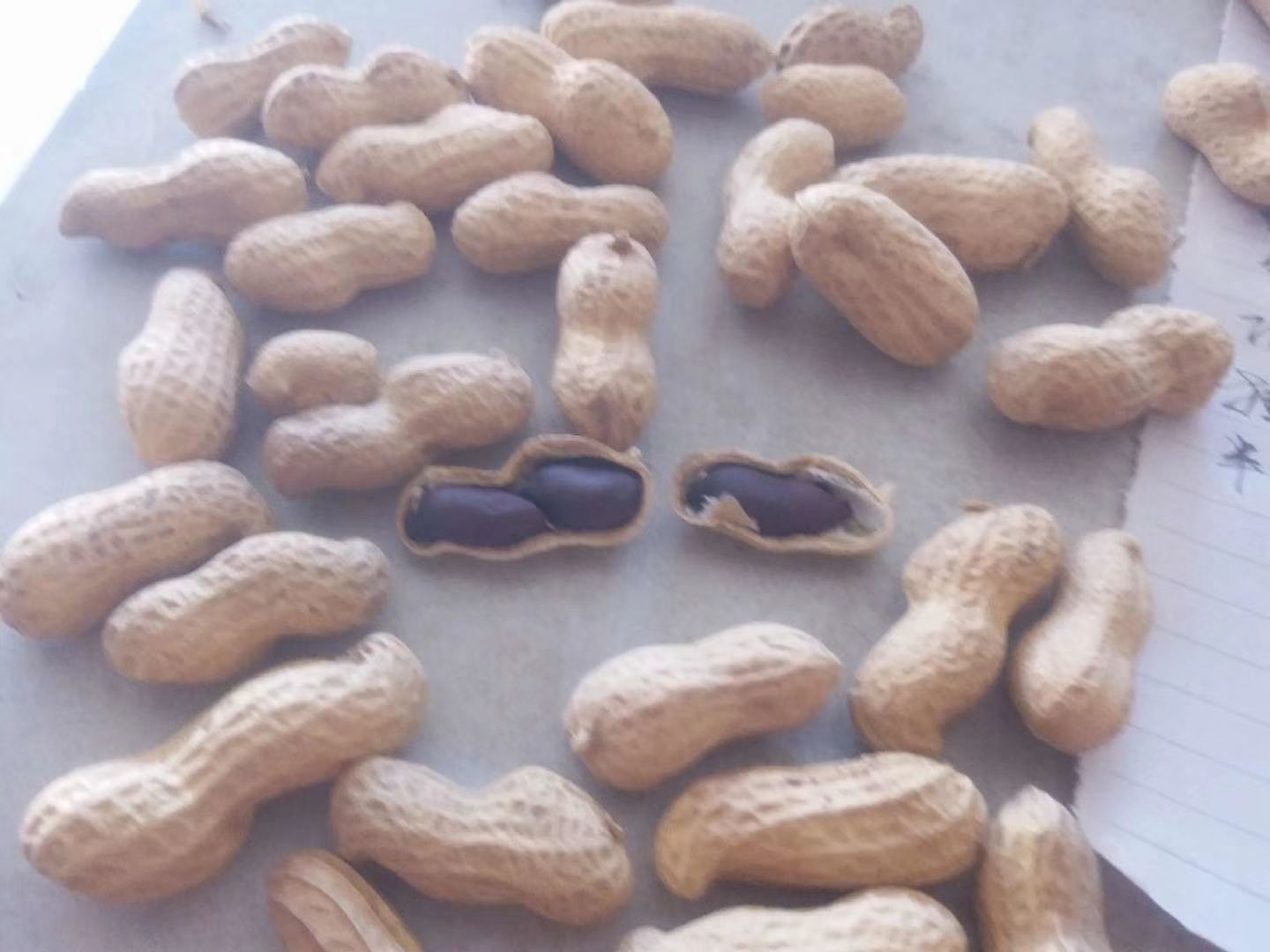 黑花生黑花生米，黑花生种子，黑花生商品果，现货供应，质量保证