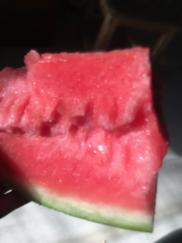 凯旋西瓜种子  耐重茬，易座果，产量高
