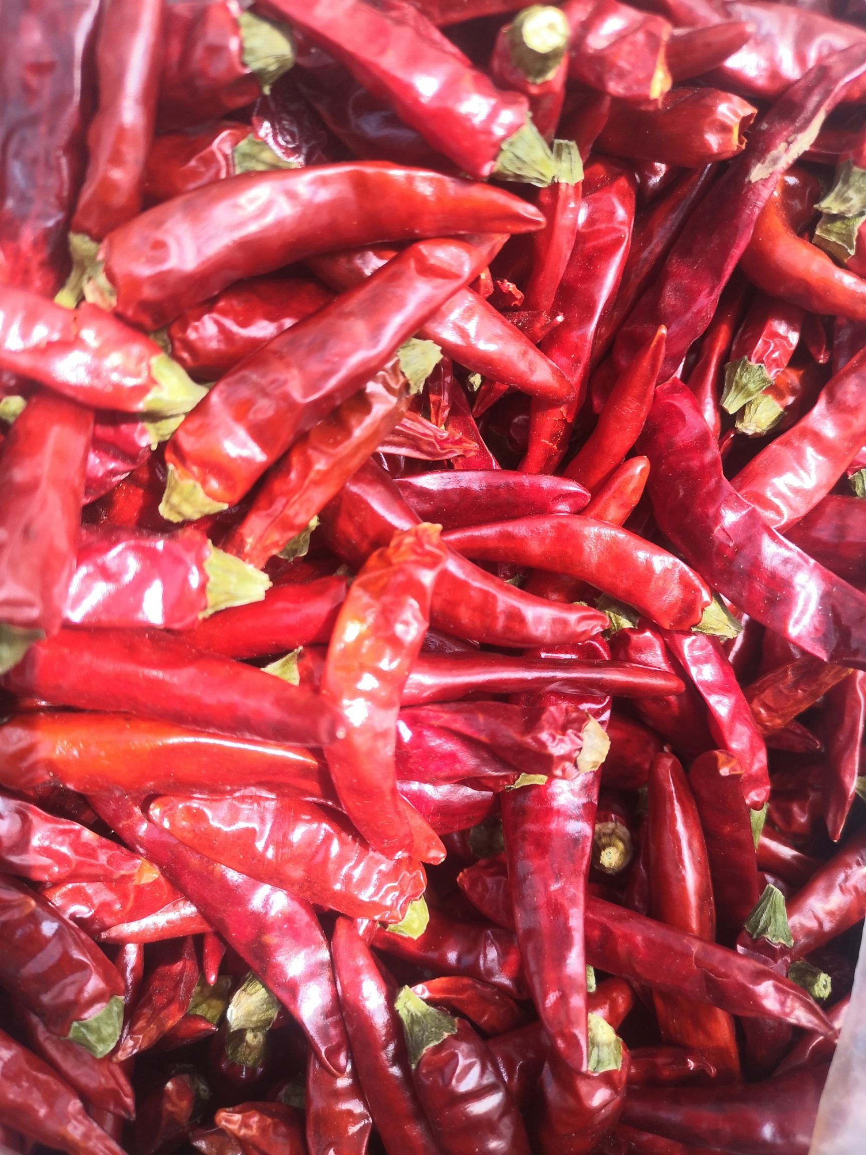 小米椒干辣椒 满天星，小米辣，贵州本土农户直供！