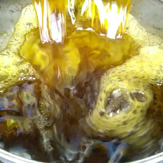 宁强县农家绿色天然菜籽油