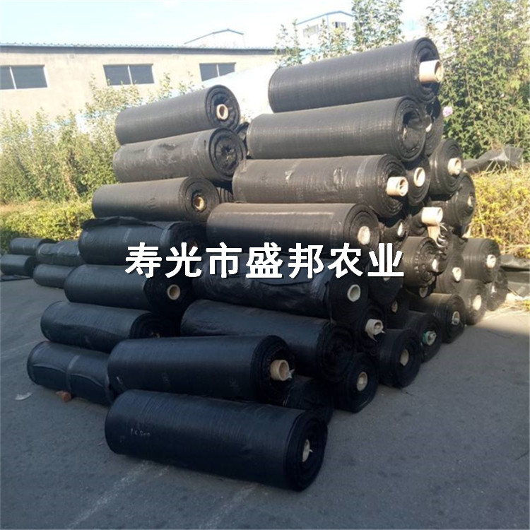 园艺地布 果园防草布 除草布