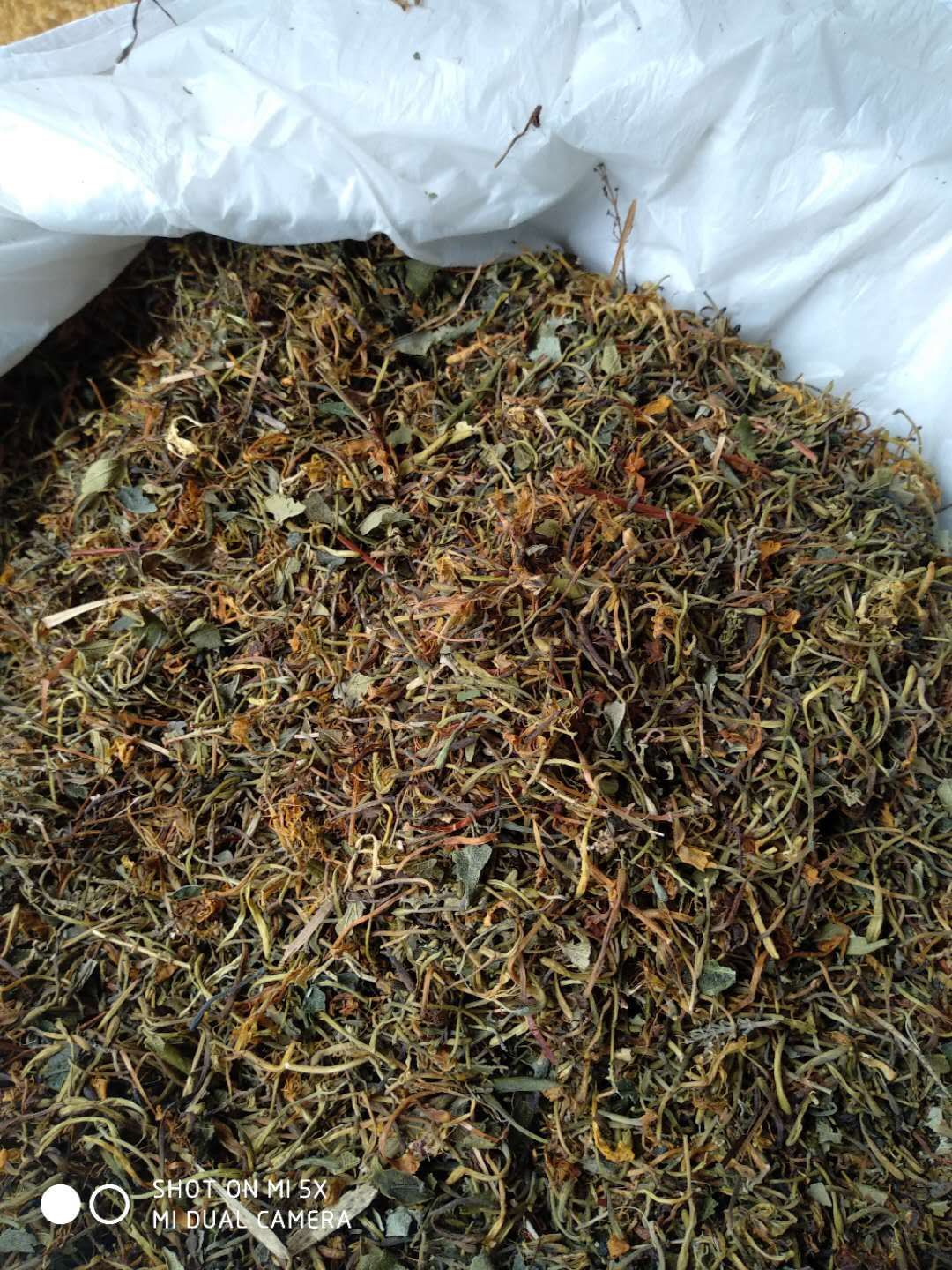 山银花  蒸汽五彩花，欢迎实地看货